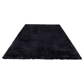 Indoor Plush Area Rugs, 8 x 10 ft Soft Plush Carpet, Furry Shag Area Rugs for Living Room, Bedroom, Sunroom, Modern Home Decor Aesthetic, Non-She